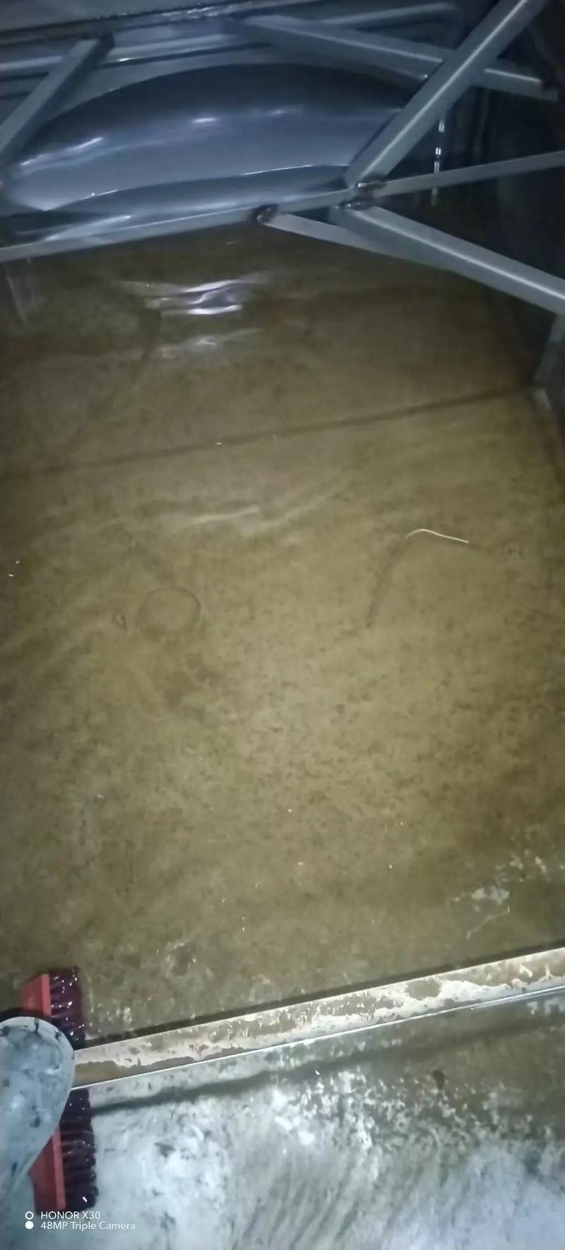 小区水箱这样洗，才算真干净！一文看懂专业清洗全流程